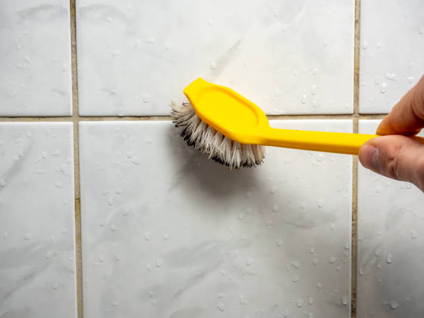 Mold Removal and Inspection in Trempealeau, WI
