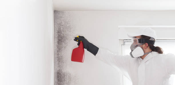 Best Toxic Mold Removal  in Trempealeau, WI