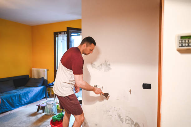 Mold Removal and Inspection in Trempealeau, WI